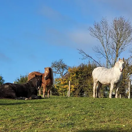 De Guise, Animaux Bienvenus Vakantiehuis Guise